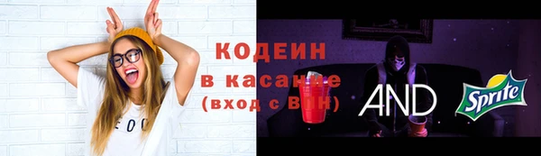 прущий лед Богородицк
