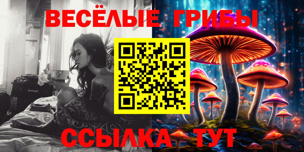 цена наркотик  Вход с VPN  Воскресенск  Псилоцибиновые грибы ЛСД 